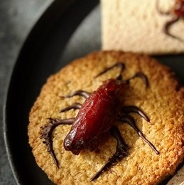 デーツゴキブリクッキー