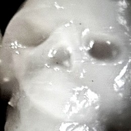 スカル型水まんじゅう